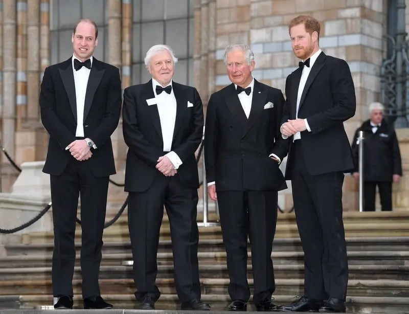 Prince Harry praises David Attenborough in emotional tribute before 100th birthday