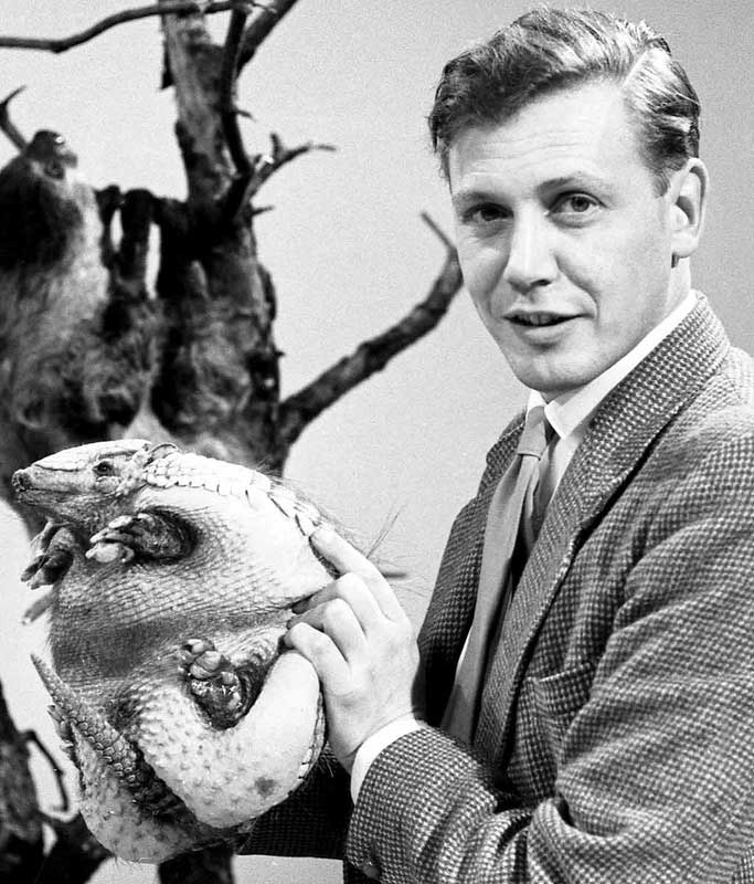 Sir David Attenborough turns 100: A glimpse into legendary naturalist’s life