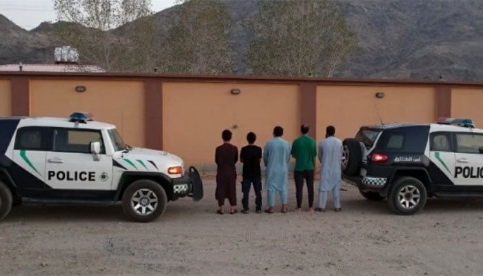 فوٹو: سعودی میڈیا