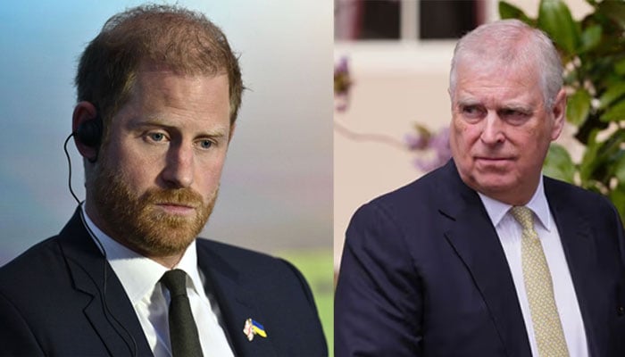 Horrified Prince Harry strongly reacts on Andrew attack: nobody is truly protected