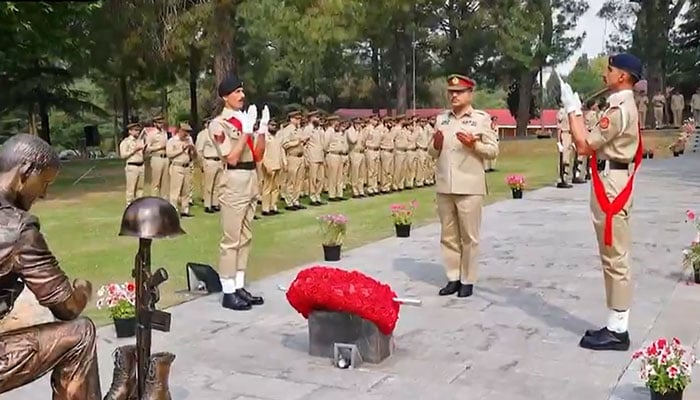 اسکرین گرایب