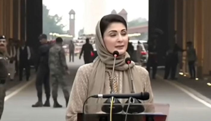 پاکستان کا امن اور سلامتی ہماری ریڈ لائن ہے، مریم نواز