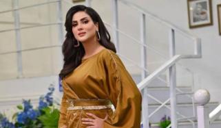 شوبز شخصیات کو لباس کے انتخاب میں حدود کا خیال رکھنا چاہیے: فضا علی