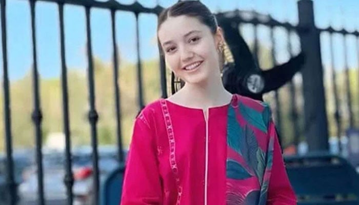 ٹک ٹاکر ثنا یوسف قتل کیس، پراسیکیوشن کے 25 گواہان پر جرح مکمل