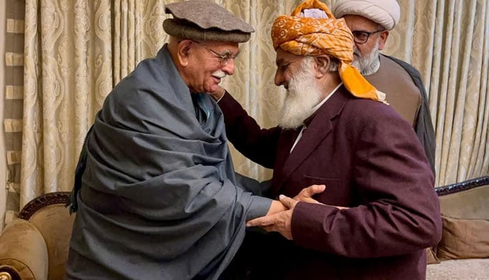 فضل الرحمان، محمود اچکزئی کا جمہوری استحکام کیلئے موثر کردار ادا کرنے پر زور