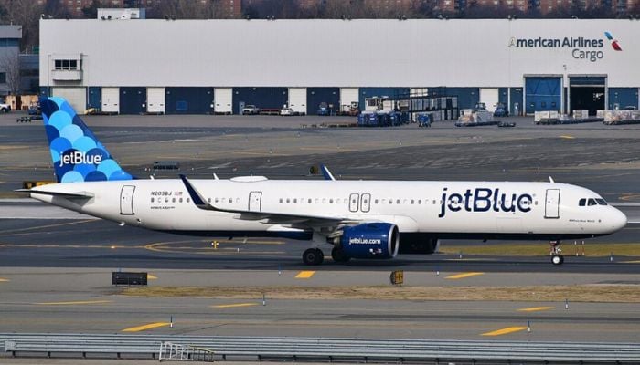 JetBlue Flight 882 grounded in St. Lucia: Birdstrike strands passengers as airline refuses hotels