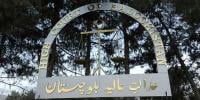 چیئرمین بلوچستان ڈیولپمنٹ اتھارٹی برطرف