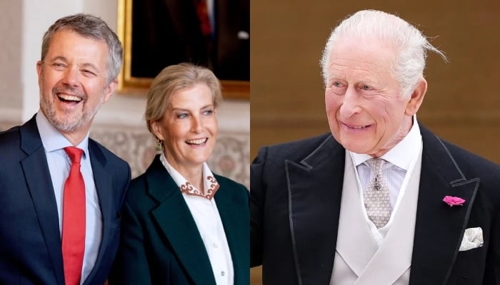 Duchess Sophie quietly attends high-level conference in Denmark on behalf of King Charles