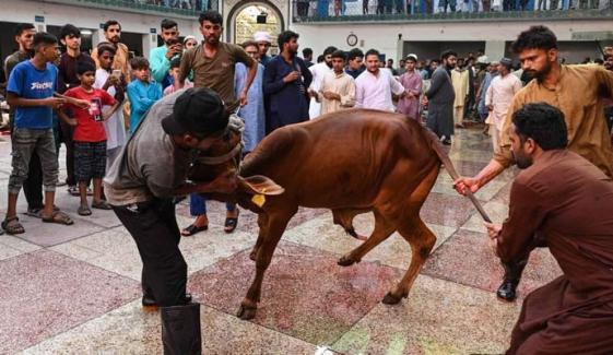 عیدالاضحیٰ کب ہونے کا امکان ہے؟ سپارکو نے بتا دیا