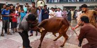 عیدالاضحیٰ کب ہو گی؟ سپارکو نے بتا دیا