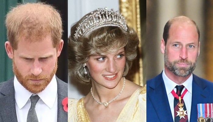 From Princess Diana to Prince Harry: 5 royal interviews that sparked global shockwaves