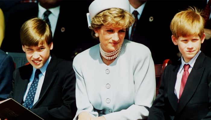 Princess Diana to Prince Harry: 5 royal interviews that sparked global shockwaves