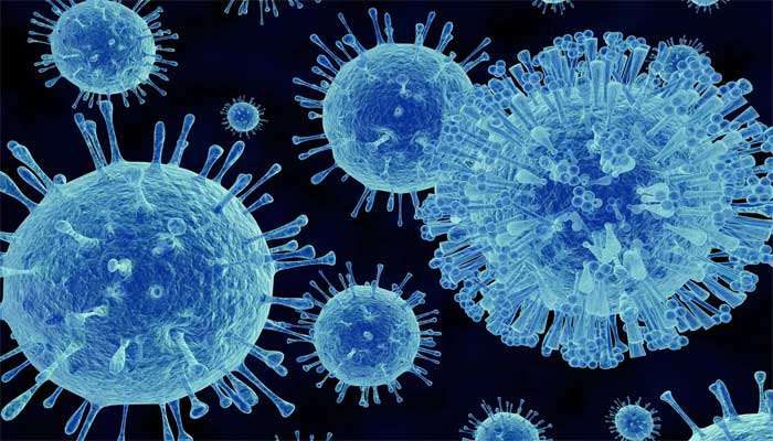 Norovirus outbreak: 49 passengers affected British cruise ship docked in France