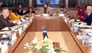 اختیار ہوتا تو اس جج کا بھی چیک اپ کروانے کا کہتا جس نے انمول پنکی کو ضمانت دی: چیئرمین سینیٹ قائمہ کمیٹی
