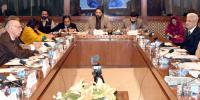 ’اختیار ہوتا تو اس جج کا بھی چیک اپ کرواتا جس نے پنکی کو ضمانت دی‘