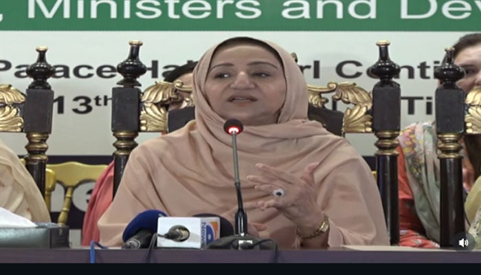 وزیر اعلیٰ پنجاب کی کو آرڈی نیٹر سارہ افضل تارڑ(ویڈیو گریب)۔