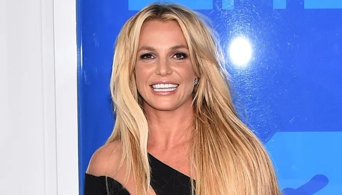 Britney Spears sparks concern after barking, wielding knife at LA dinner