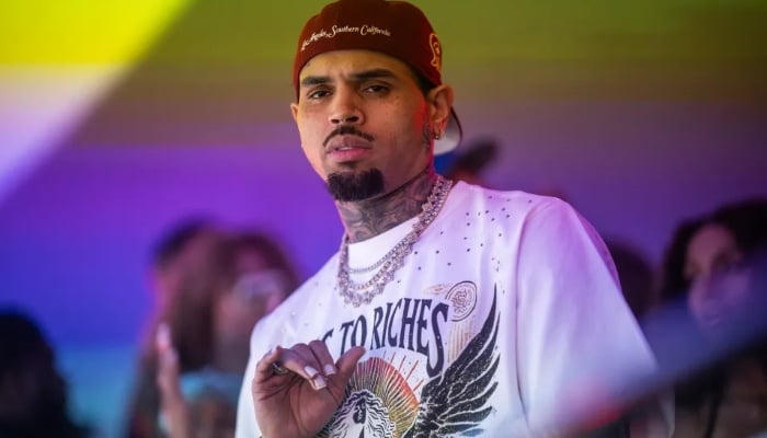 Chris Brown: Man arrested after allegedly trespassing, attempted arson