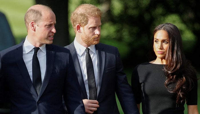 Prince William drops message of congratulations after Harry, Meghans war film update