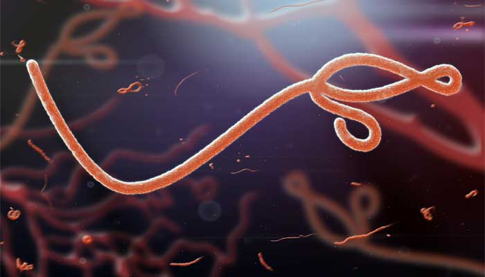 Ebola outbreak in Congo: Over 240 cases, 65 deaths reported