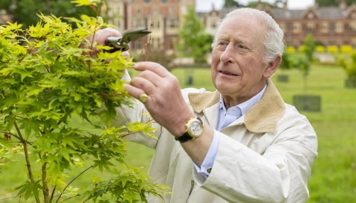 King Charles recognises Cornish charity for disabled youth in remarkable feat