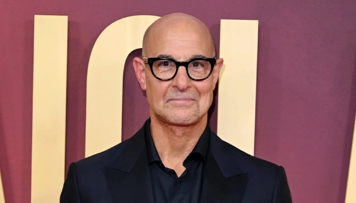 Stanley Tucci finally addresses humorous bald lookalike comparisons