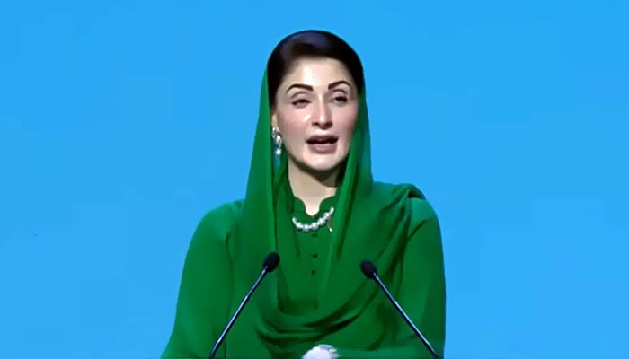 وزیراعلیٰ پنجاب مریم نواز۔فوٹو: اسکرین گریب