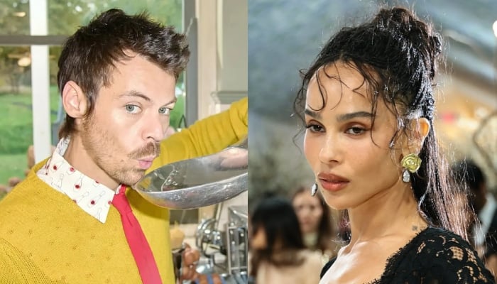 Zoë Kravitz parties with Harry Styles mom at singers Amsterdam concert: Watch