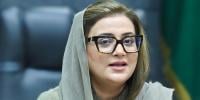 ’وزیراعلیٰ پنجاب کی ہدایت پر چلاس کے دو مریض لڑکے لاہور منتقل کردیے‘