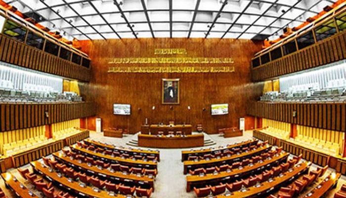 سینیٹ کمیٹی اجلاس میں پنکی کو اصل نام سے پکارنے کی ہدایت
