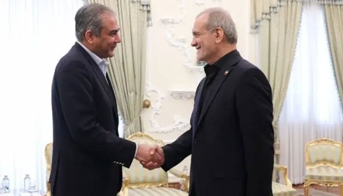 محسن نقوی کی ایک ہفتے میں صدر مسعود پزشکیان سے دوسری ملاقات