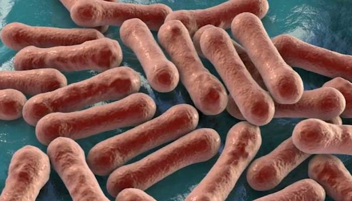 Diphtheria outbreak in australia: Health experts warns to combat ‘biggest ever’ variant