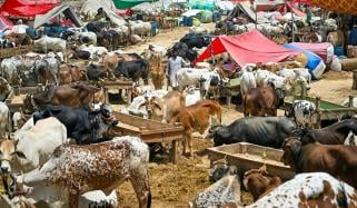وفاقی حکومت نے عیدالاضحیٰ کی تعطیلات کا اعلان کردیا