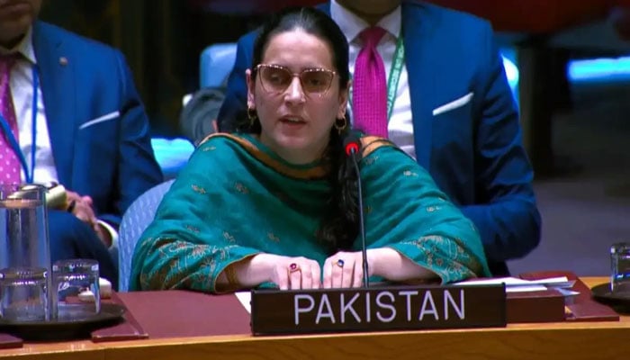 بھارت دہشت گردی برآمد کرتا ہے، صائمہ سلیم