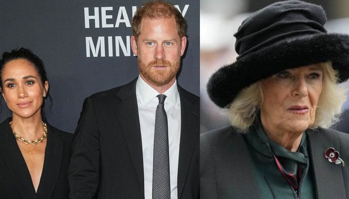 Prince Harry, Meghan Markle blame Camilla for fresh snub: constantly poisoning Charles