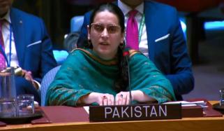  بھارت دہشت گردی برآمد کرتا ہے، صائمہ سلیم