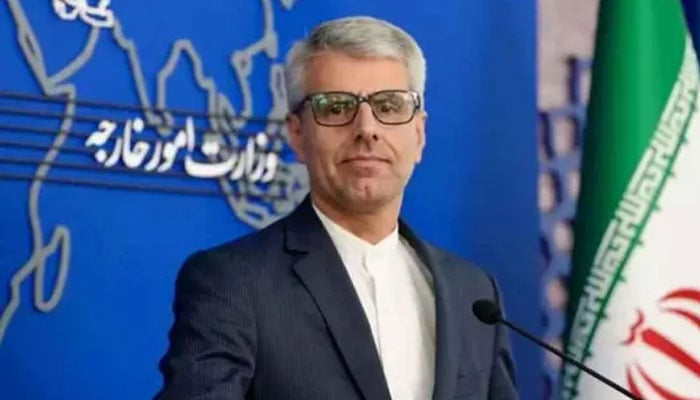 ترجمان ایرانی وزارت خارجہ اسماعیل بقائی۔فوٹو: فائل