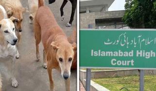 اسلام آباد: آوارہ کتوں کو زہر دینے، گولی مارنے یا تلف کرنے پر مستقل پابندی عائد