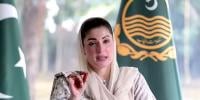 جو بھی کسی عورت کو ہراساں کرنے میں ملوث پایا گیا، معاف نہیں کیا جائے گا: مریم نواز