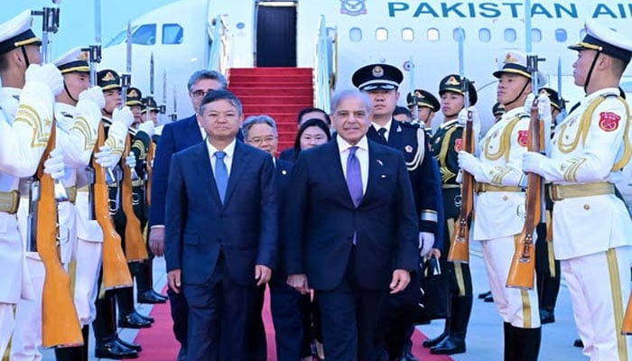 تصویر سوشل میڈیا۔