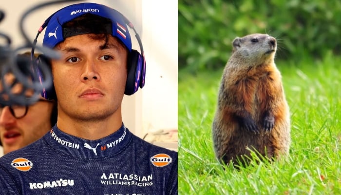 PETA calls for action after Alex Albons groundhog crash at Canadian GP