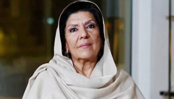 علیمہ خان کا بیرسٹر گوہر اور سہیل آفریدی پر بغیر بتائے محسن نقوی سے ملاقات کا الزام
