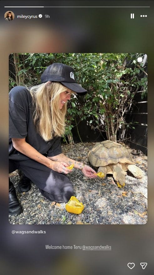 Miley Cyrus welcomes someone special after Walk of Fame milestone