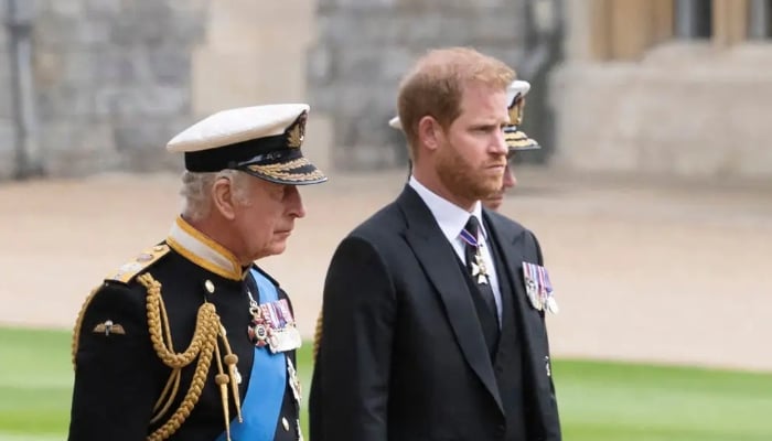Prince Harry seeks more than cash from King Charles amid financial troubles