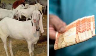 لاہور: درہ آدم خیل سے جعلی کرنسی سپلائی کرنے والے 2 ملزمان گرفتار، کرنسی و سامان برآمد