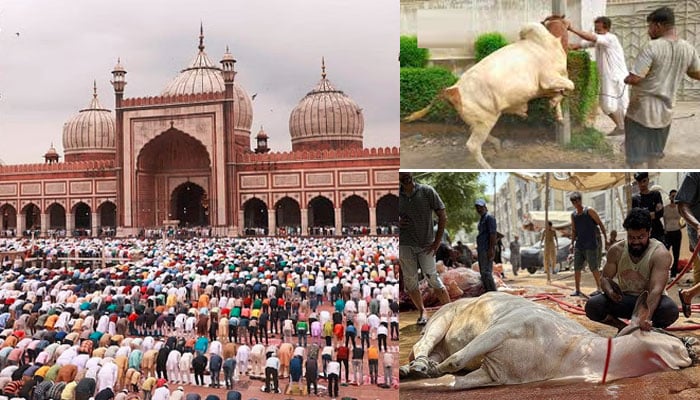 ملک بھر میں عیدالاضحیٰ جوش و جذبے سے منائی جارہی ہے