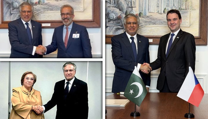 اسحاق ڈار کی جمہوریہ چیک کے وزیر خارجہ سے ملاقات (دائیں)، پرتگالی وزیر خارجہ سے ملاقات (بائیں-اوپر)، کولمبیئن ہم منصب سے ملاقات (بائیں-نیچے) - کولاج فوٹو: ریڈیو پاکستان/سوشل میڈیا