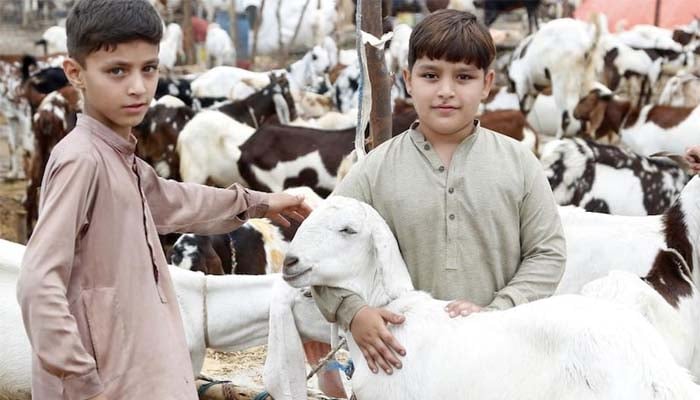 Happy Eid ul Adha 2026: Traditions, customs, and celebrations