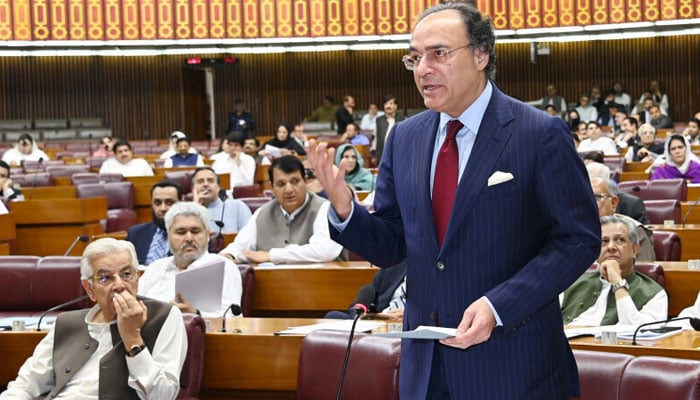 وفاقی وزیرِ خزانہ محمد اورنگزیب—فائل فوٹو