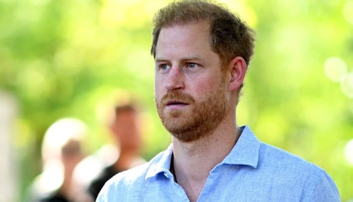 Prince Harry urged to quit African charity over rape and torture claims